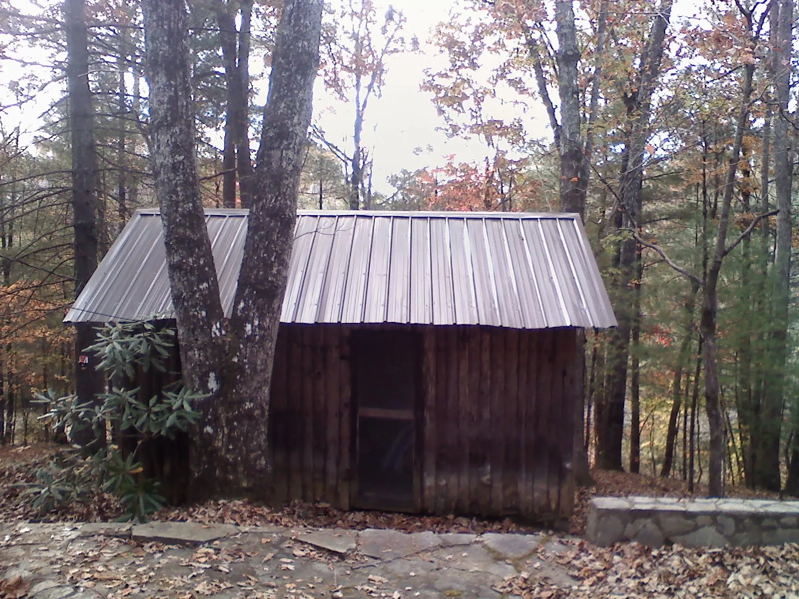 New metal gable roof on a small log shed among the trees in Lowden